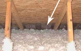 attic ventilation